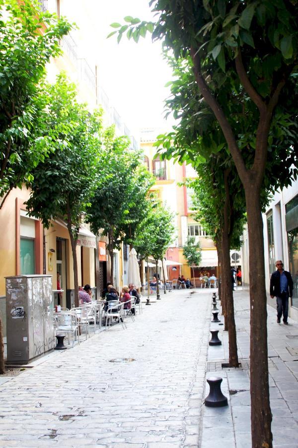 Plaza Nueva Terraza Seville Exterior photo